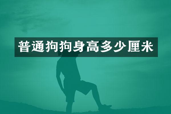 普通狗狗身高多少厘米
