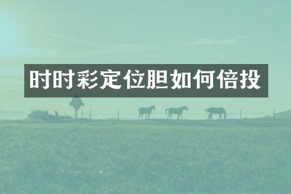 时时彩定位胆如何倍投
