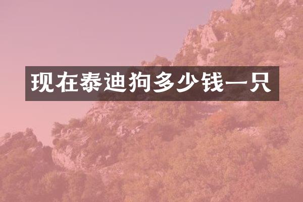 现在泰迪狗多少钱一只