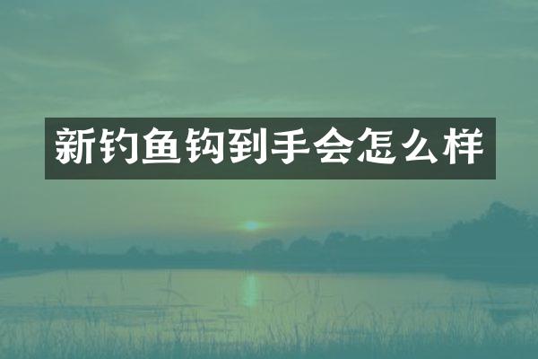 新钓鱼钩到手会怎么样