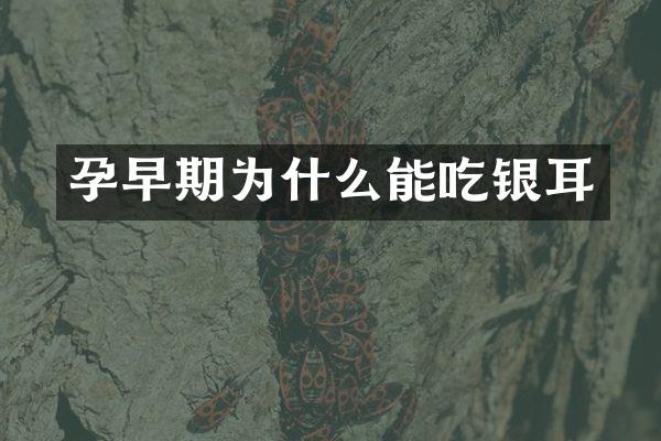 孕早期为什么能吃银耳