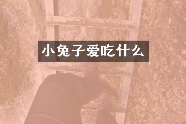 小兔子爱吃什么