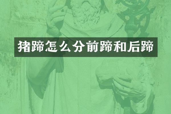 猪蹄怎么分前蹄和后蹄