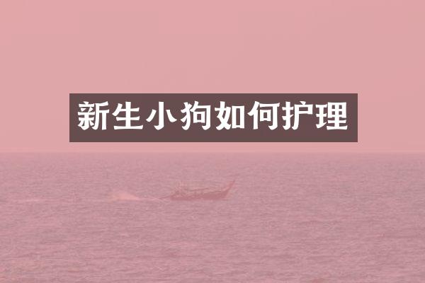 新生小狗如何护理