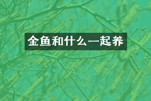 金鱼和什么一起养