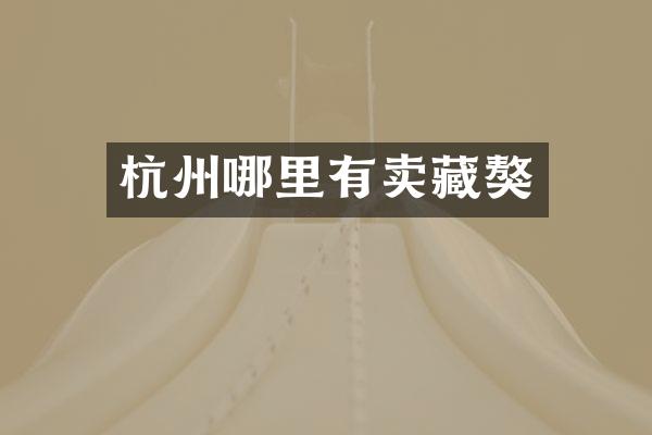 杭州哪里有卖藏獒