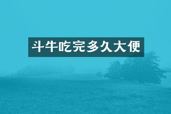 斗牛吃完多久大便