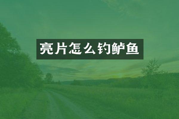 亮片怎么钓鲈鱼