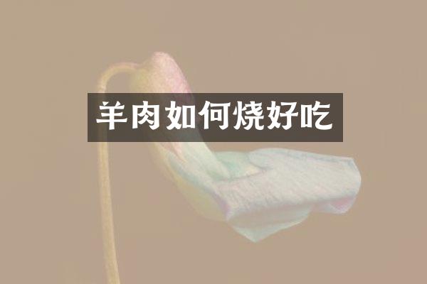 羊肉如何烧好吃
