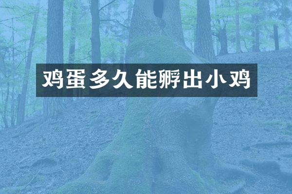 鸡蛋多久能孵出小鸡