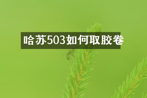 哈苏503如何取胶卷