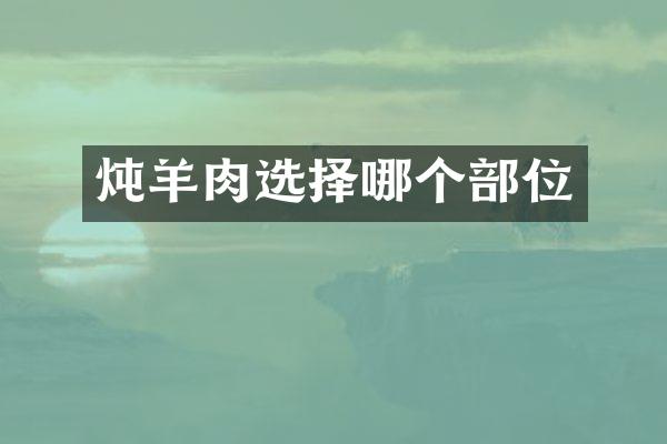 炖羊肉选择哪个部位