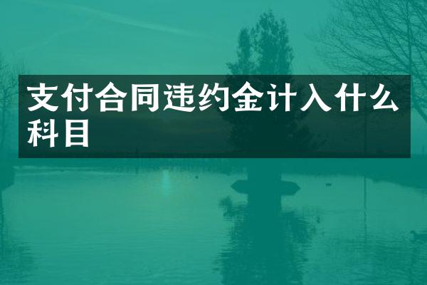 支付合同违约金计入什么科目