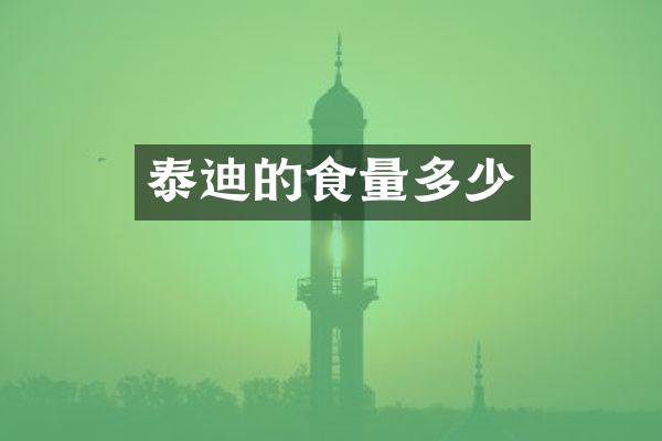 泰迪的食量多少