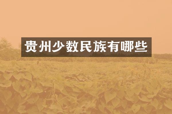 贵州少数民族有哪些