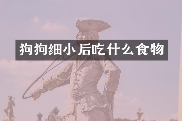 狗狗细小后吃什么食物