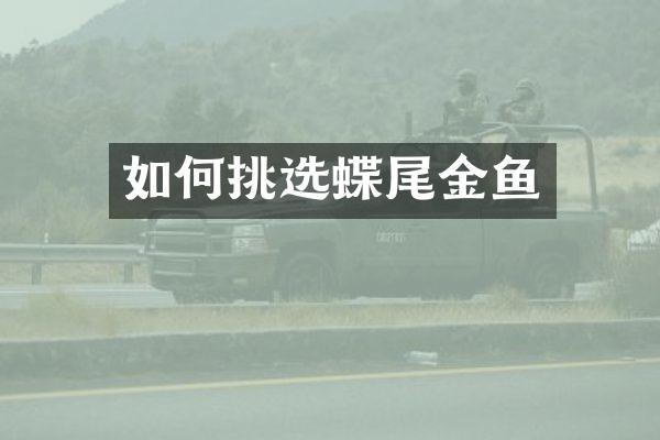如何挑选蝶尾金鱼