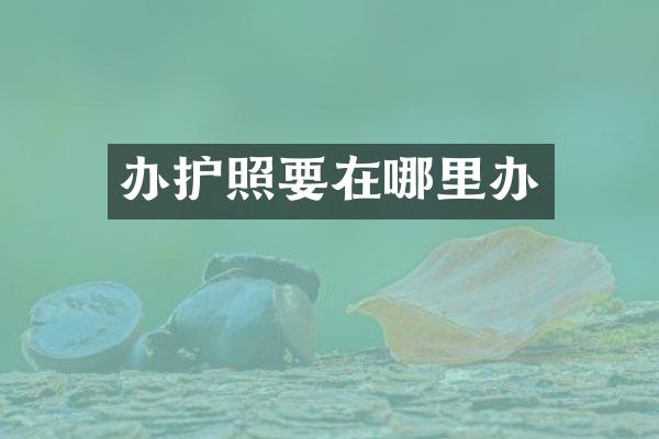 办护照要在哪里办