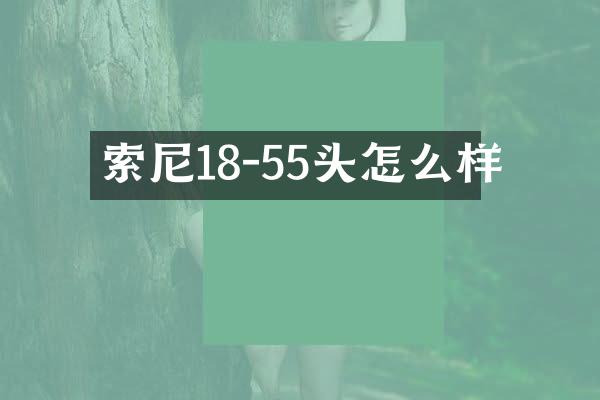 索尼18-55头怎么样