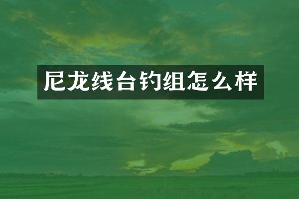 尼龙线台钓组怎么样
