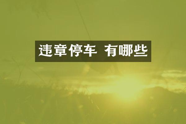 违章停车 有哪些