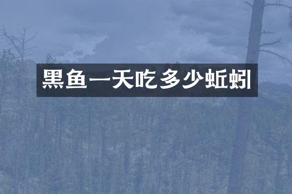 黑鱼一天吃多少蚯蚓