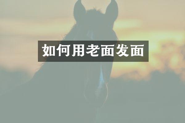 如何用老面发面