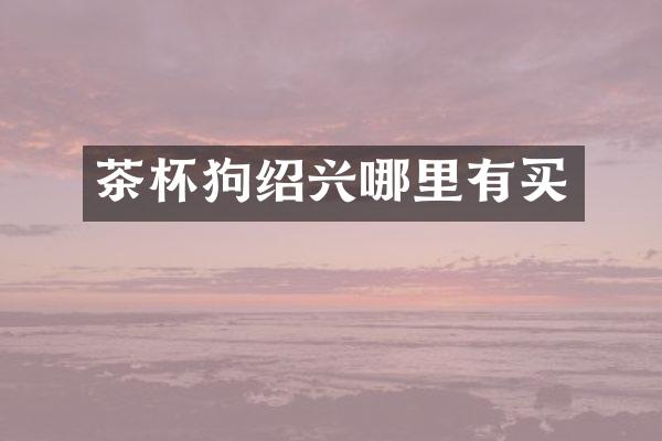 茶杯狗绍兴哪里有买