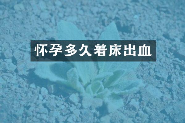 怀孕多久着床出血