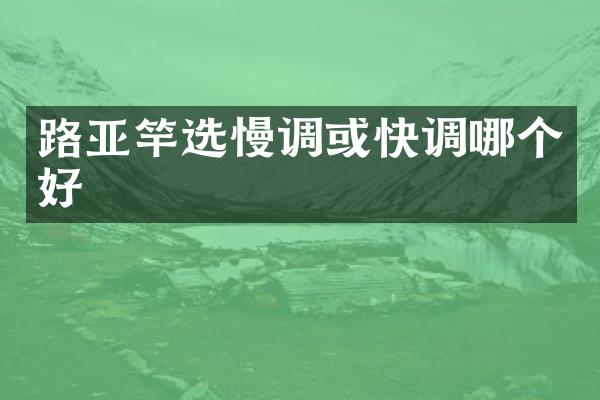 路亚竿选慢调或快调哪个好