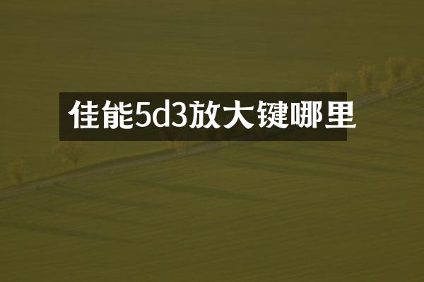 佳能5d3放大键哪里