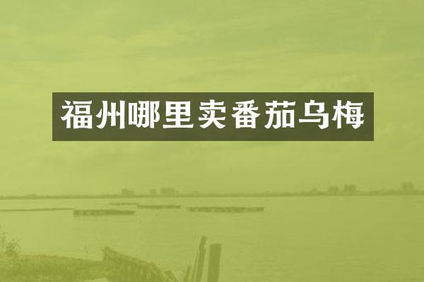 福州哪里卖番茄乌梅