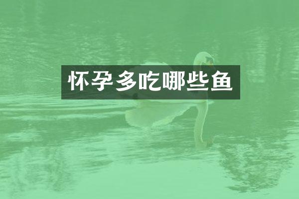 怀孕多吃哪些鱼