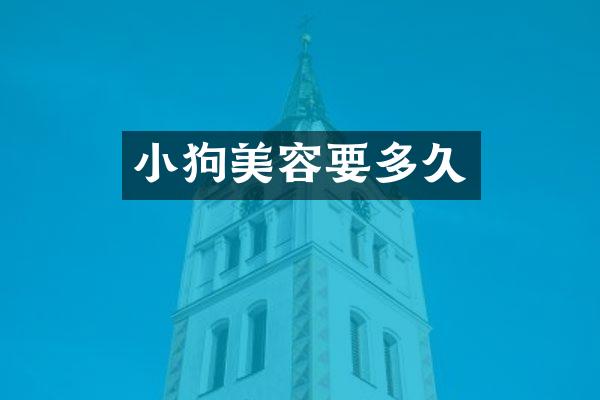 小狗美容要多久