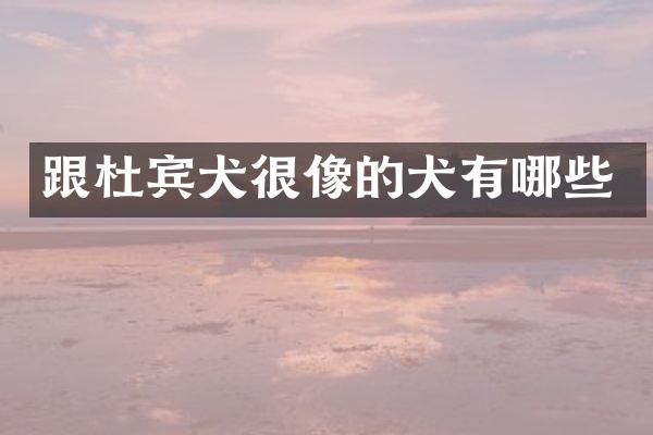 跟杜宾犬很像的犬有哪些