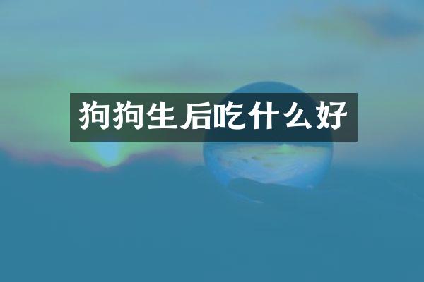 狗狗生后吃什么好