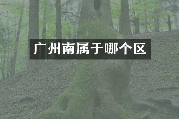 广州南属于哪个区