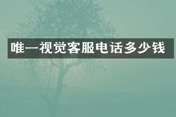 唯一视觉客服电话多少钱