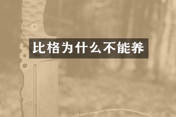 比格为什么不能养