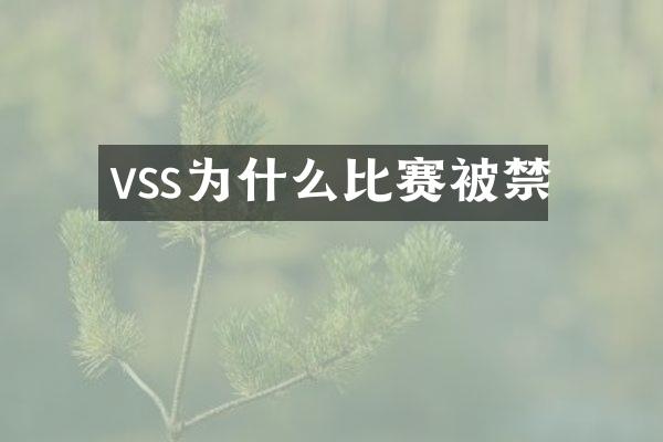 vss为什么比赛被禁