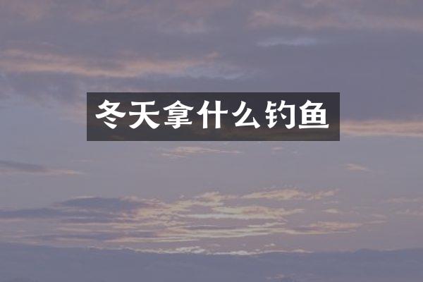 冬天拿什么钓鱼