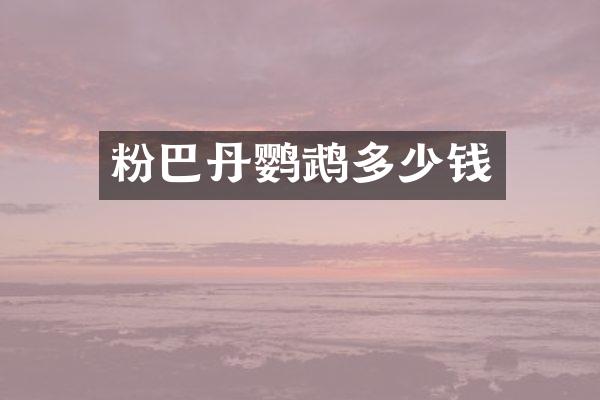 粉巴丹鹦鹉多少钱