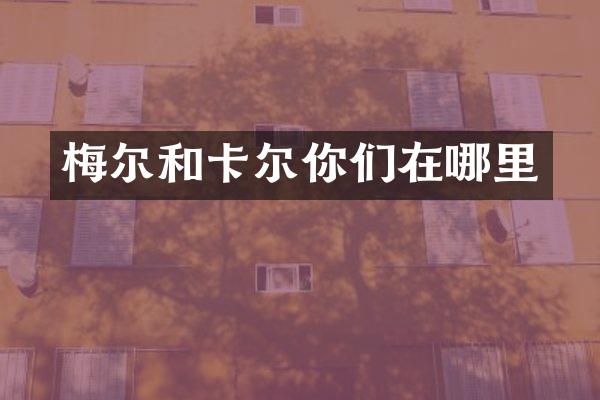 梅尔和卡尔你们在哪里