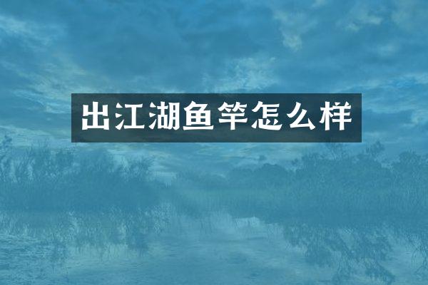 出江湖鱼竿怎么样