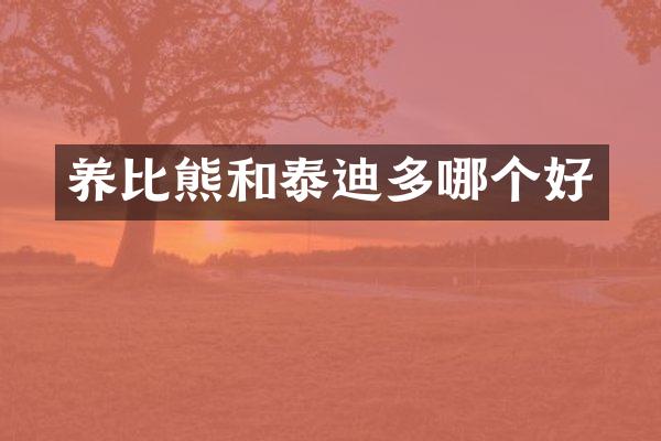 养比熊和泰迪多哪个好