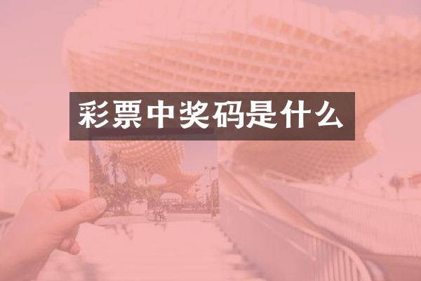 彩票中奖码是什么