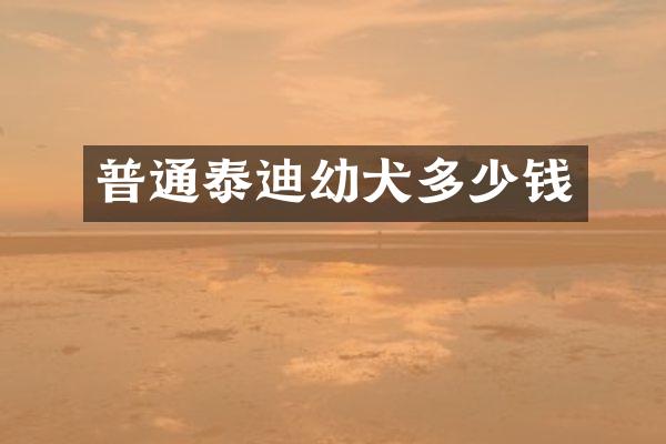 普通泰迪幼犬多少钱