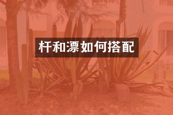 杆和漂如何搭配