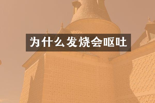 为什么发烧会呕吐