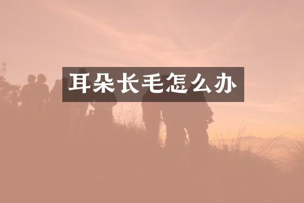 耳朵长毛怎么办
